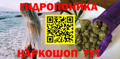 дурь Можга