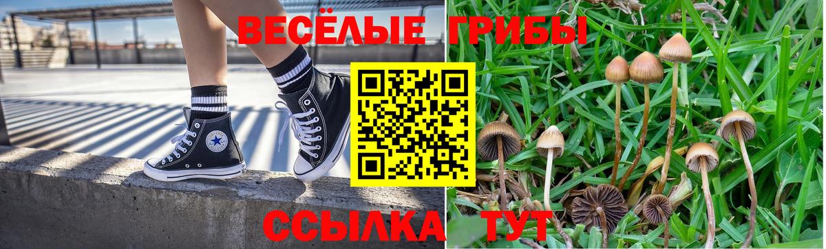 Псилоцибиновые грибы ЛСД Усолье-Сибирское